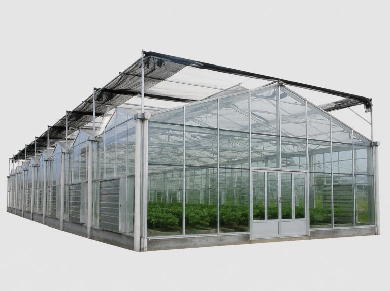绥化连栋薄膜蔬菜温室